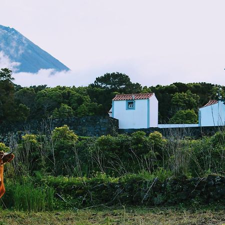 Casa Do Paim Villa São Roque do Pico Kültér fotó