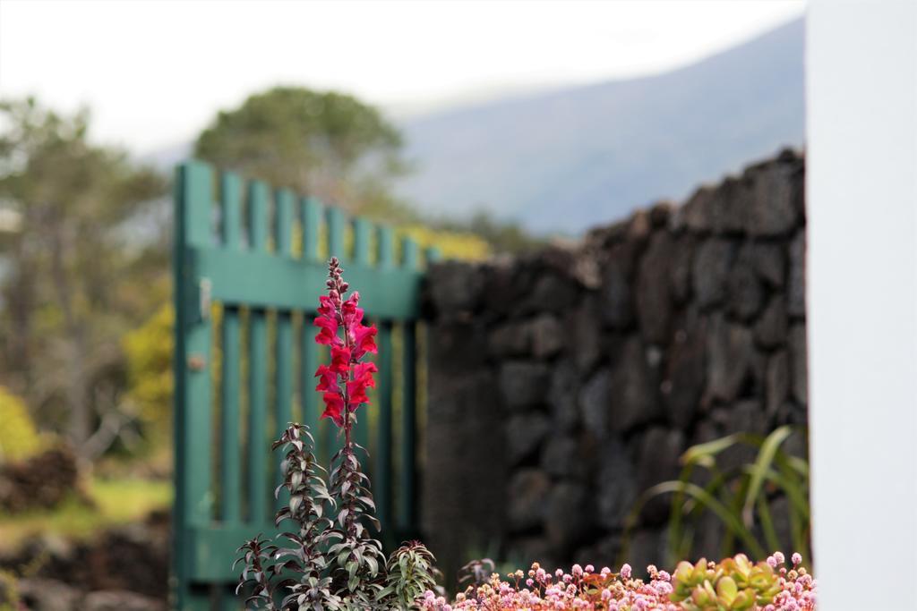 Casa Do Paim Villa São Roque do Pico Kültér fotó