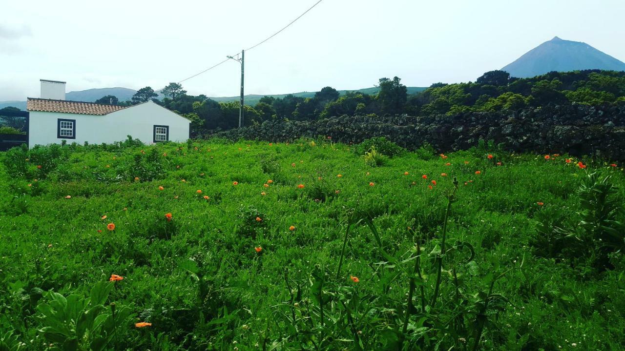 Casa Do Paim Villa São Roque do Pico Kültér fotó