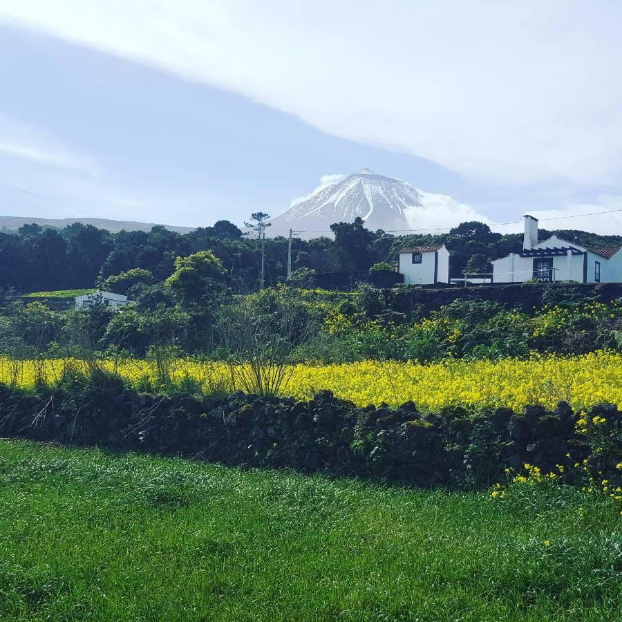 Casa Do Paim Villa São Roque do Pico Kültér fotó